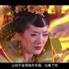 曾道资料app下载大全